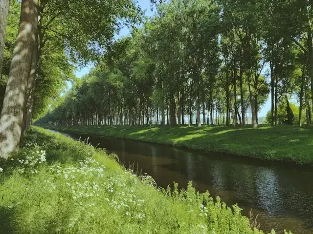 Canals and Rivers