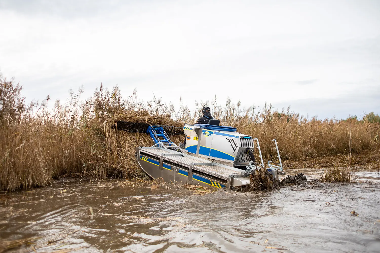 Reed Bed Management