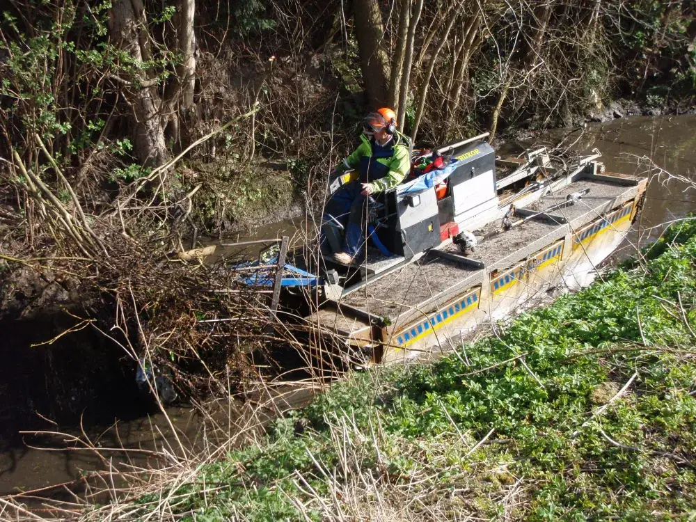 Trash and Debris Removal