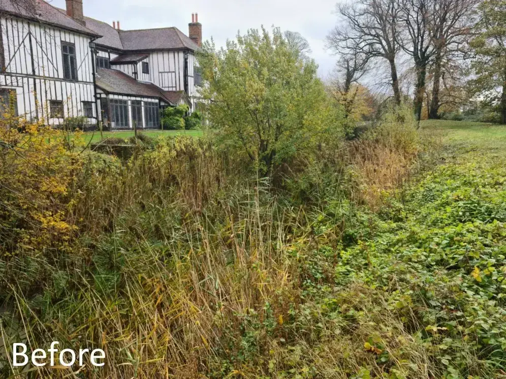 Watercourse before excavation and habitat restoration