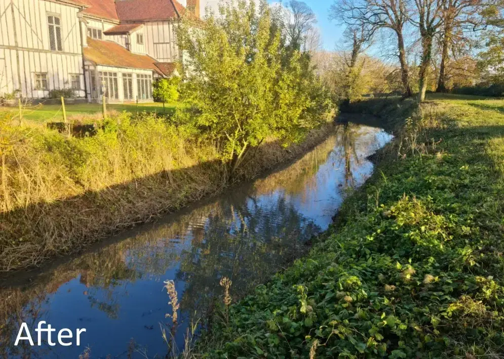 Watercourse after excavation and habitat restoration
