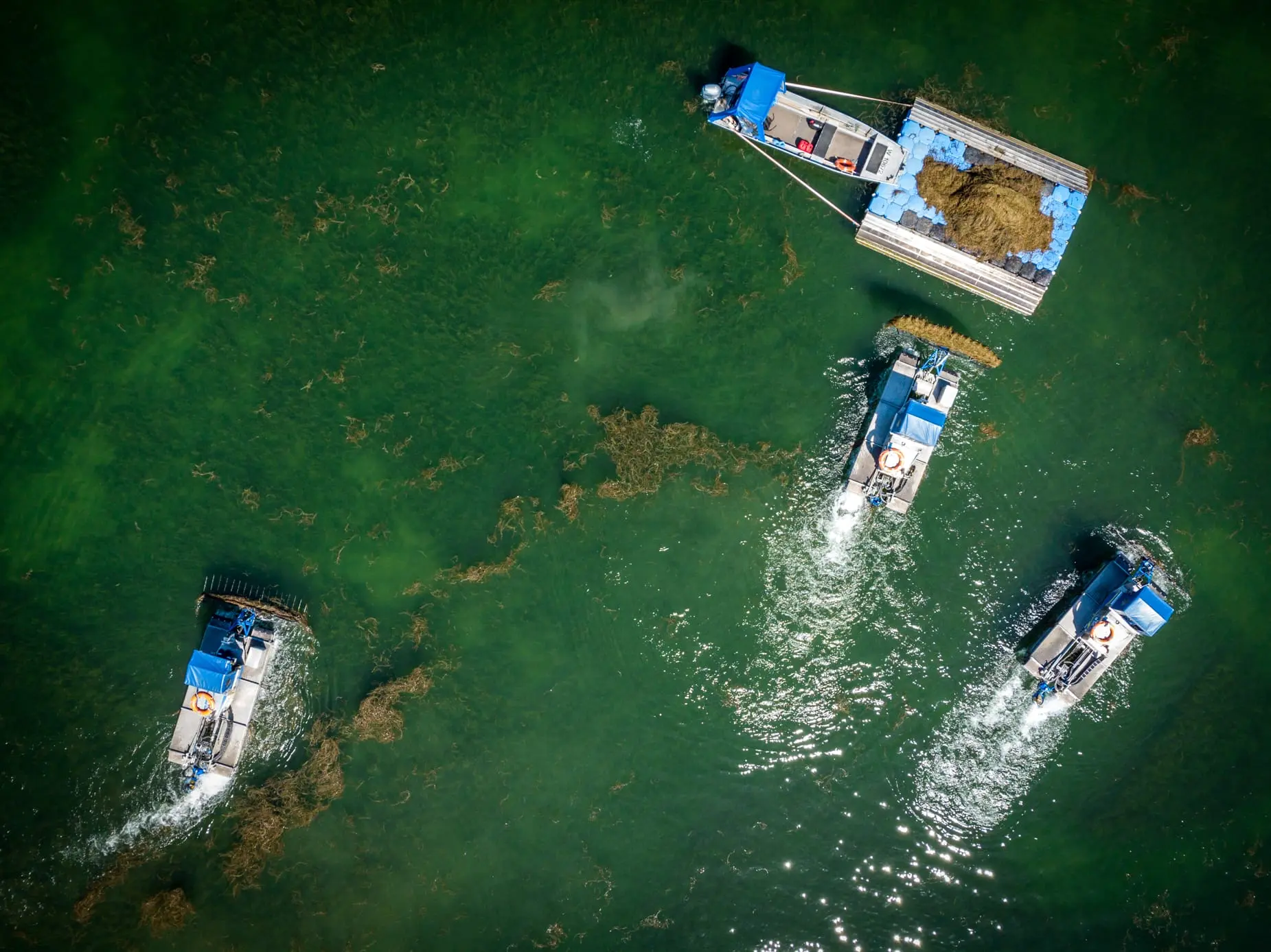 Truxor amphibious machine operating in a wetland