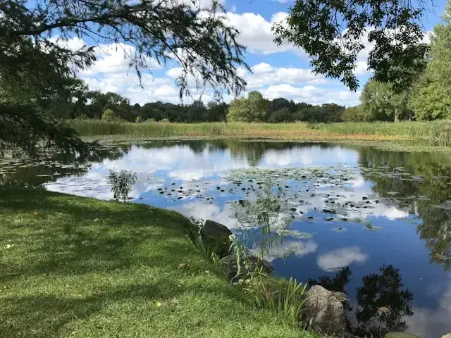 Ponds