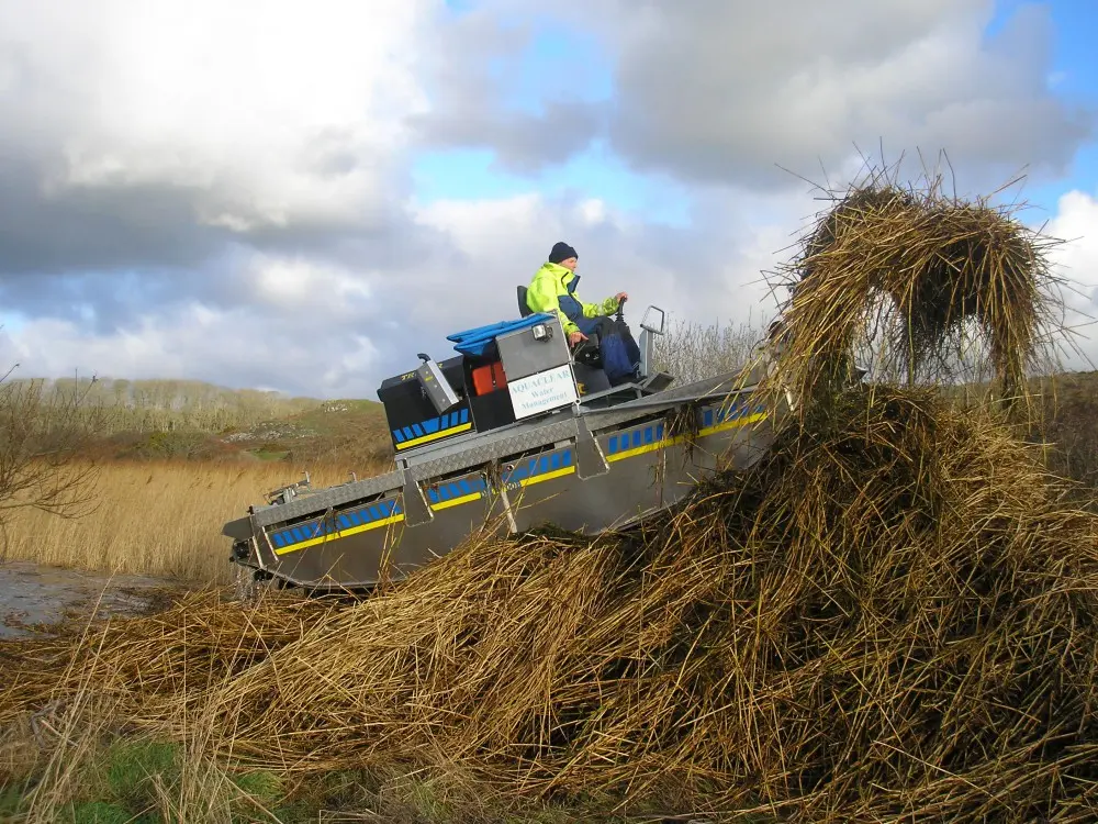 Truxor cutting reeds in a reed bed
