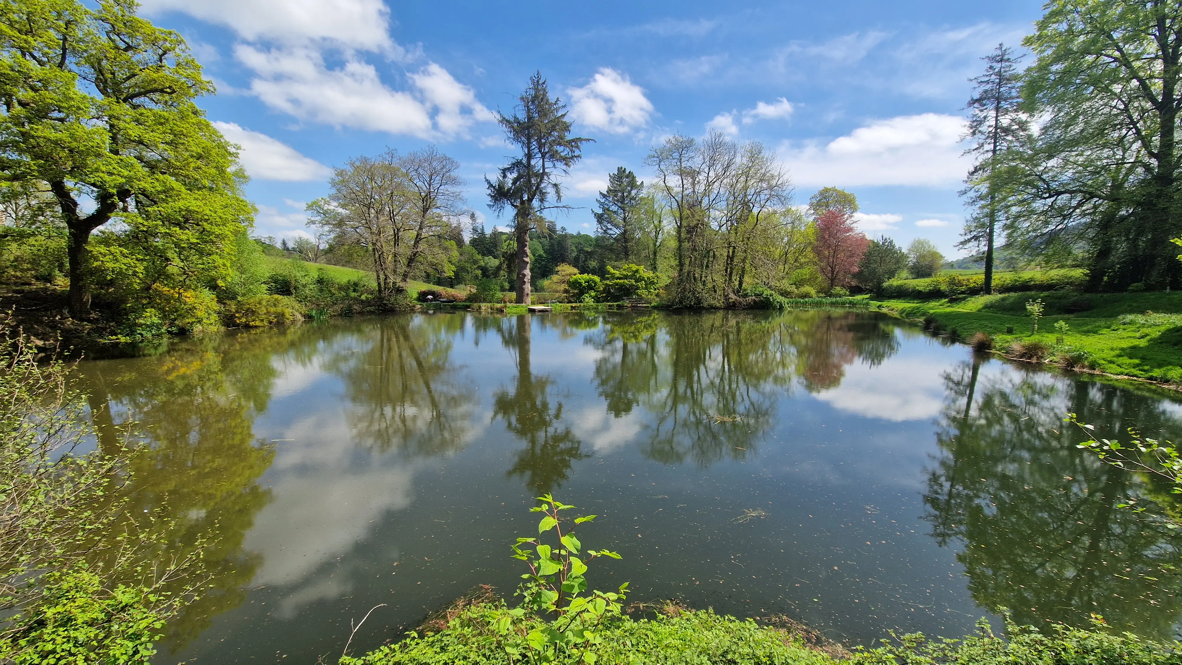 Aquatic Weed Cutting